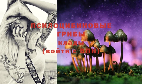 крисы Балахна