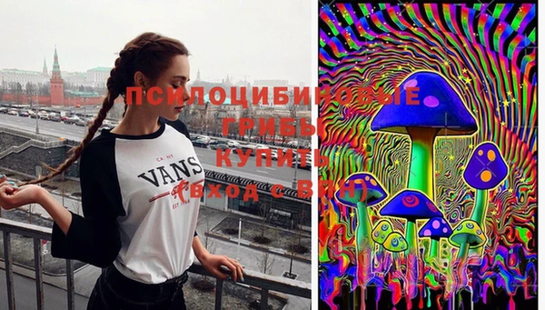 крисы Балахна