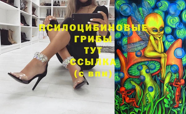 крисы Балахна