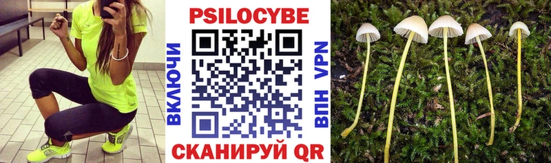 Псилоцибиновые грибы MAGIC MUSHROOMS  цены   Новомичуринск 
